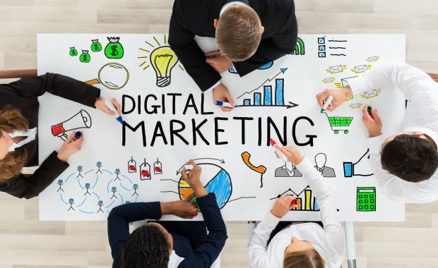 Best Digital Marketing Company in Ambala: Why Choose Us?